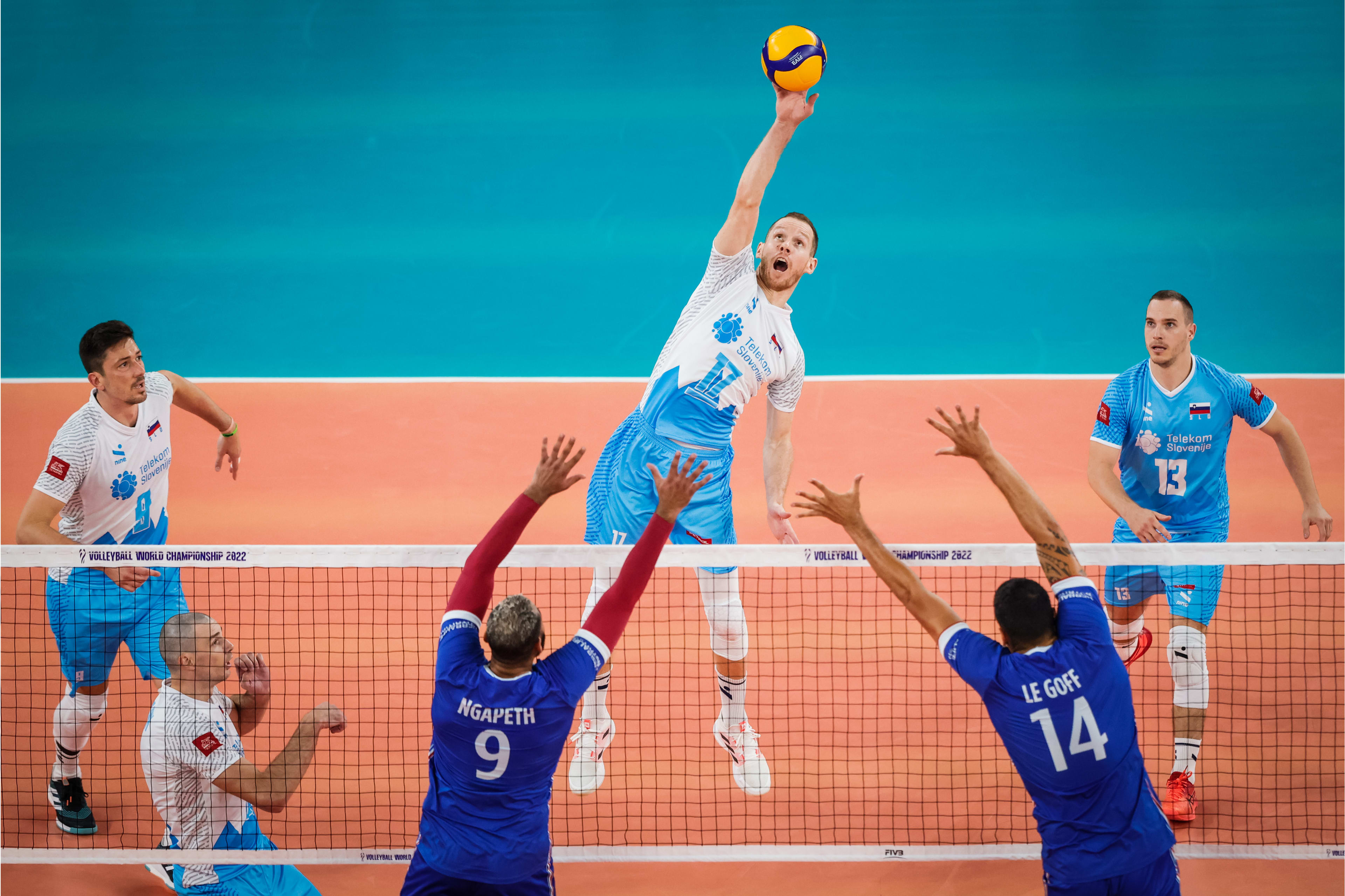 taraflex banner image