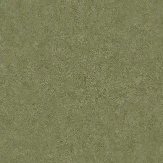 Transit Classic - 0232 - Pine