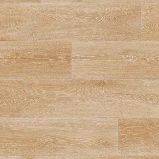 Transit Classic - 0231 - Golden