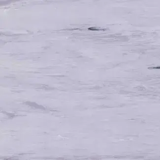 Mipolam-180_2029-opti