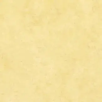 Transit Classic - 0303 - Chocolat