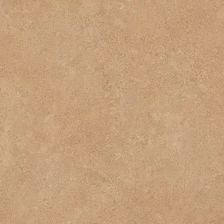Transit Classic - 0243 - Beige