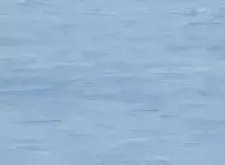 opti-2034