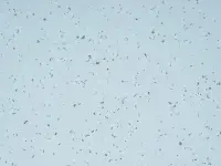 Mipolam Planet 5406 Moqui