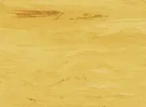 2001-SUN109-CI-BD-opti