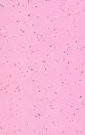 Mipolam Styl_4004_Rosa