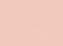 Transit Classic - 0237 - Pink