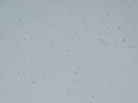 Mipolam Planet 5420 Stone Powder