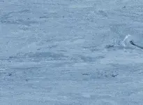 2009-AZURE010-CI-opti