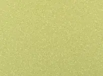 Attraction - Amazonas 8577